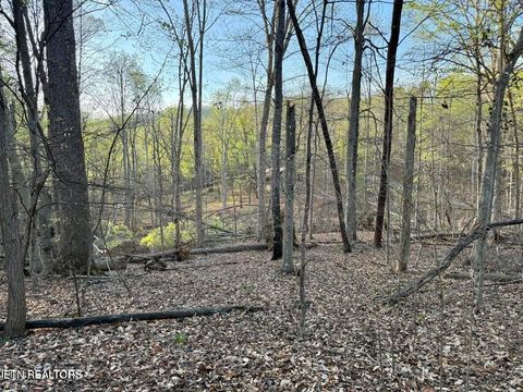 Tiny photo for Catoosa Drive & Kahiti Court, Mooresburg, TN 37811 (MLS # 1321706)
