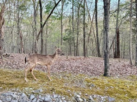 Tiny photo for Catoosa Drive & Kahiti Court, Mooresburg, TN 37811 (MLS # 1321706)