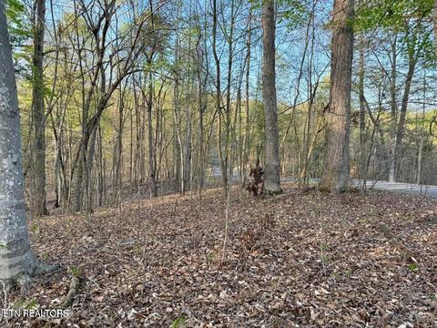 Tiny photo for Catoosa Drive & Kahiti Court, Mooresburg, TN 37811 (MLS # 1321706)