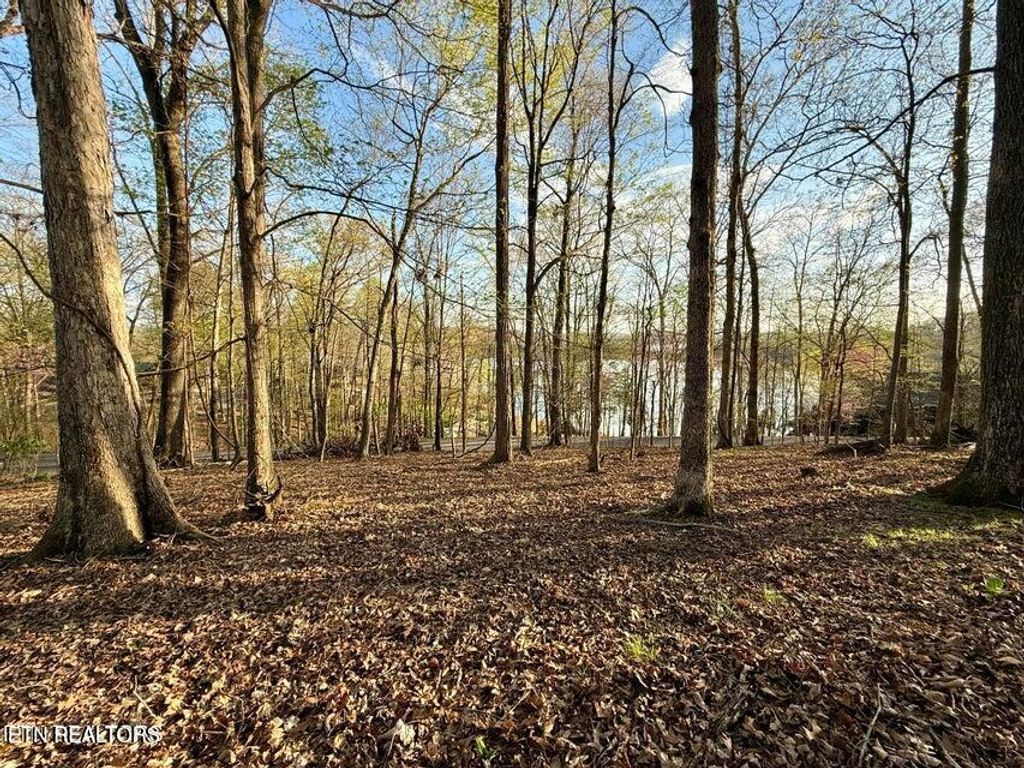 Photo of Catoosa Drive &amp; Kahiti Court, Mooresburg, TN 37811 (MLS # 1321706)