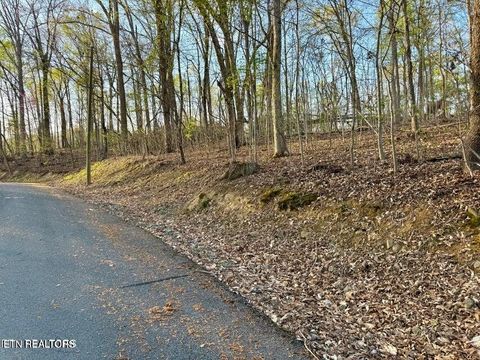 Tiny photo for Catoosa Drive & Kahiti Court, Mooresburg, TN 37811 (MLS # 1321706)