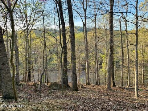 Tiny photo for Catoosa Drive & Kahiti Court, Mooresburg, TN 37811 (MLS # 1321706)