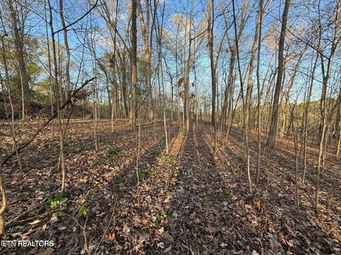 Tiny photo for Catoosa Drive & Kahiti Court, Mooresburg, TN 37811 (MLS # 1321706)