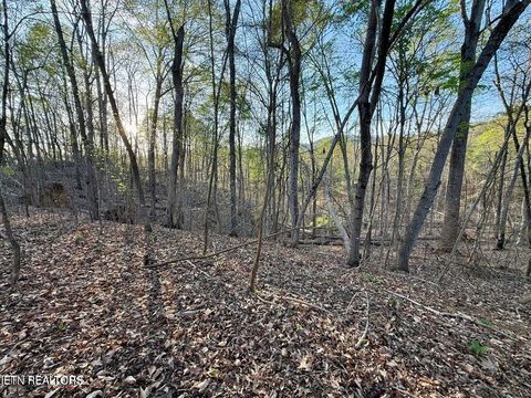 Tiny photo for Catoosa Drive & Kahiti Court, Mooresburg, TN 37811 (MLS # 1321706)