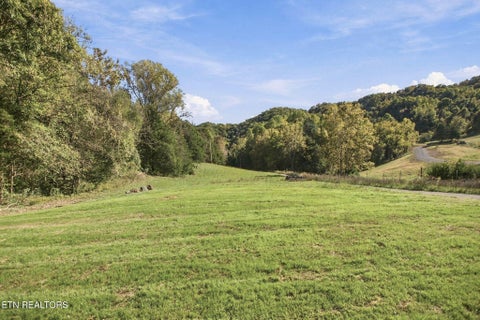 Tiny photo for 2433 Tennessee 131 Hwy, Thorn Hill, TN 37881 (MLS # 1360307)