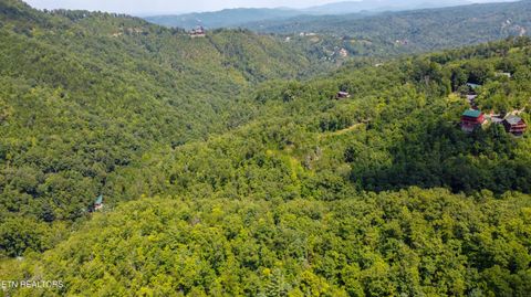 Tiny photo for Norton Creek Rd, Gatlinburg, TN 37738 (MLS # 1330563)