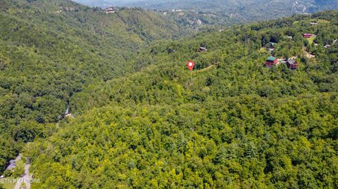 Tiny photo for Norton Creek Rd, Gatlinburg, TN 37738 (MLS # 1330563)