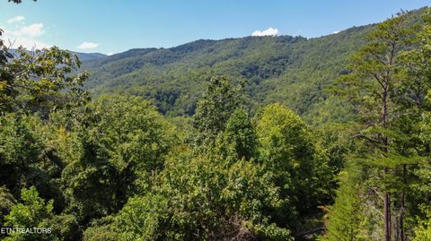 Tiny photo for Norton Creek Rd, Gatlinburg, TN 37738 (MLS # 1330563)