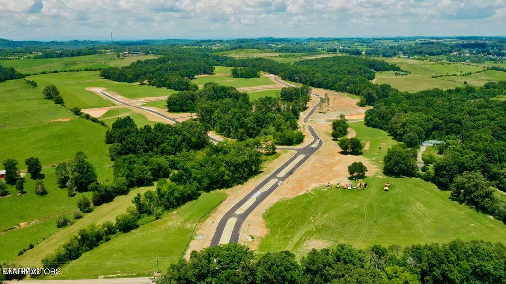 Photo of 70917 Herbert Drive, Greenback, TN 37742 (MLS # 1249887)