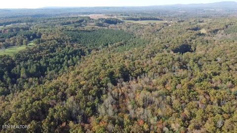 Photo of 92 Dogwood Rd, Grandview, TN 37337 (MLS # 1319490)