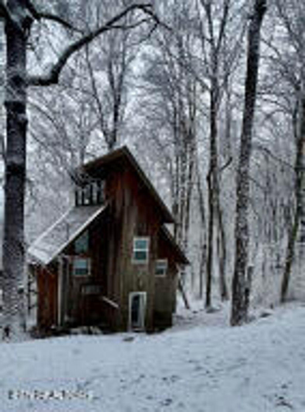 Photo of 911 Swan Saddle Rd, Sevierville, TN 37876 (MLS # 1332252)