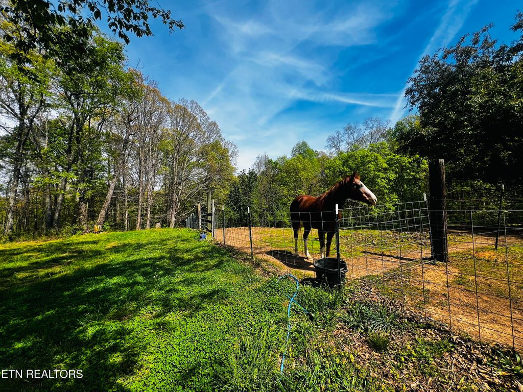 Photo of 544 Backstretch Blvd, Friendsville, TN 37737 (MLS # 1336192)