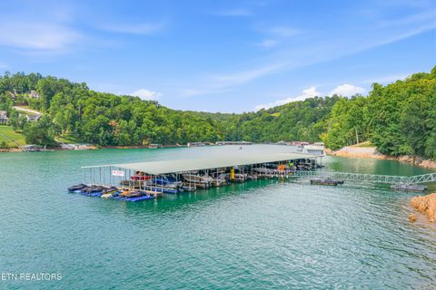 Tiny photo for 680 Shanghai Landing Lane #20, LaFollette, TN 37766 (MLS # 1347292)
