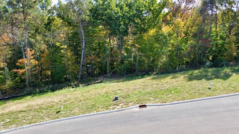 Tiny photo for 5 Graystone Shoals, Morristown, TN 37814 (MLS # 1360158)
