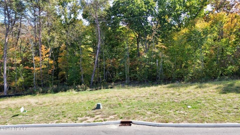 Tiny photo for 5 Graystone Shoals, Morristown, TN 37814 (MLS # 1360158)