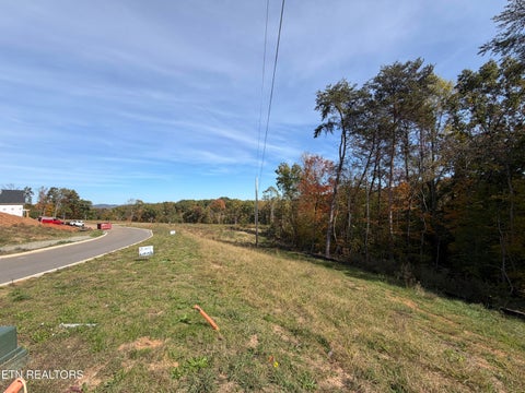 Tiny photo for 5 Graystone Shoals, Morristown, TN 37814 (MLS # 1360158)