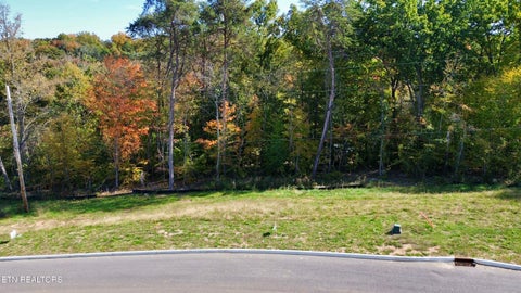 Photo of 5 Graystone Shoals, Morristown, TN 37814 (MLS # 1360158)