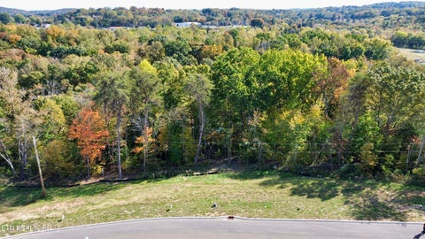 Tiny photo for 5 Graystone Shoals, Morristown, TN 37814 (MLS # 1360158)