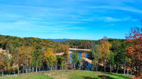 Tiny photo for 5 Graystone Shoals, Morristown, TN 37814 (MLS # 1360158)