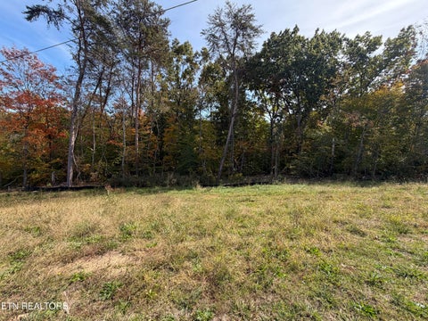 Tiny photo for 5 Graystone Shoals, Morristown, TN 37814 (MLS # 1360158)