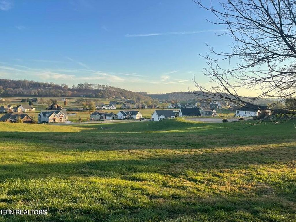 Photo of 651 Eagle Pt Drive, Loudon, TN 37774 (MLS # 1336889)
