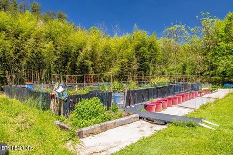 Tiny photo for 3244 Lost Branch Rd, Sevierville, TN 37862 (MLS # 1340361)