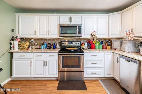 Tiny photo for 3244 Lost Branch Rd, Sevierville, TN 37862 (MLS # 1340361)