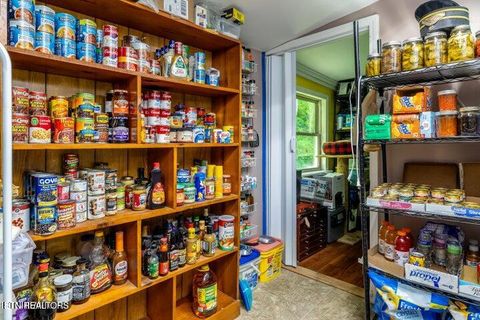 Tiny photo for 3244 Lost Branch Rd, Sevierville, TN 37862 (MLS # 1340361)