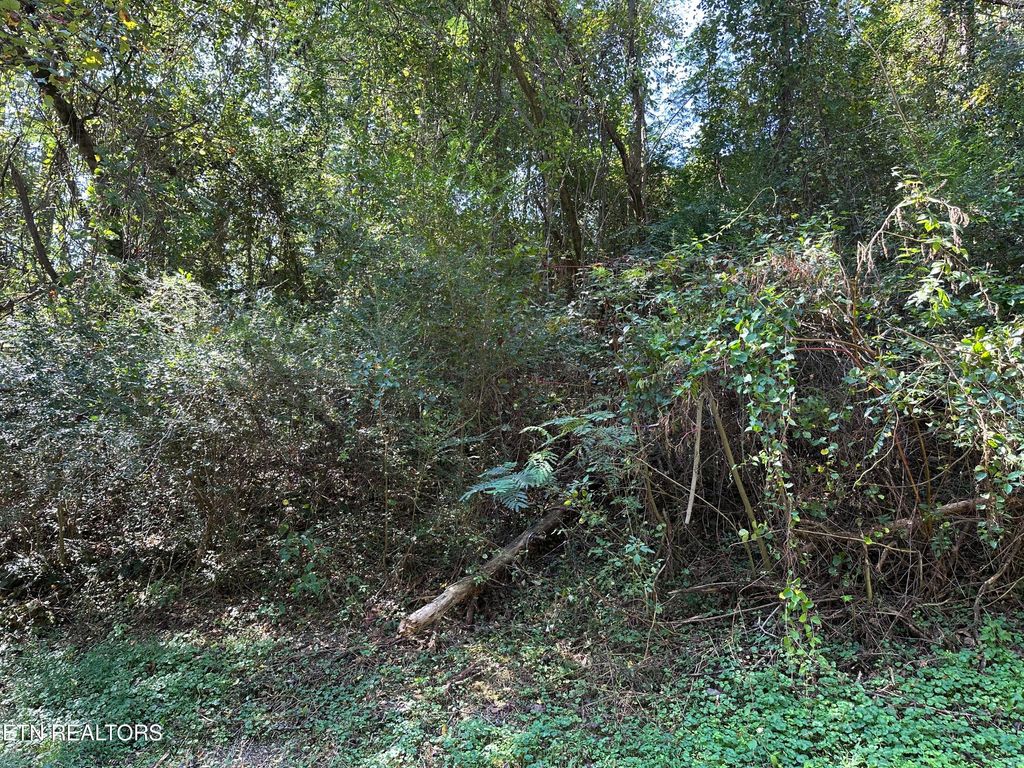 Photo of 12 Hickory Hill Drive, LaFollette, TN 37766 (MLS # 1318133)