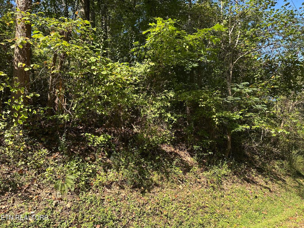 Photo of 12 Hickory Hill Drive, LaFollette, TN 37766 (MLS # 1318133)