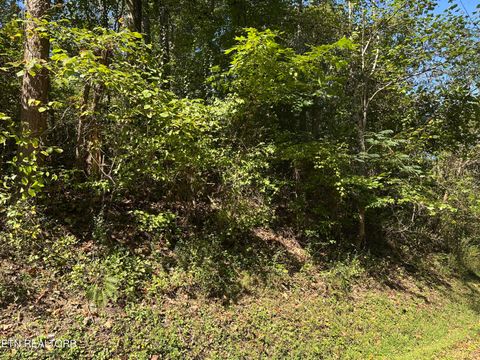 Photo of 12 Hickory Hill Drive, LaFollette, TN 37766 (MLS # 1318133)