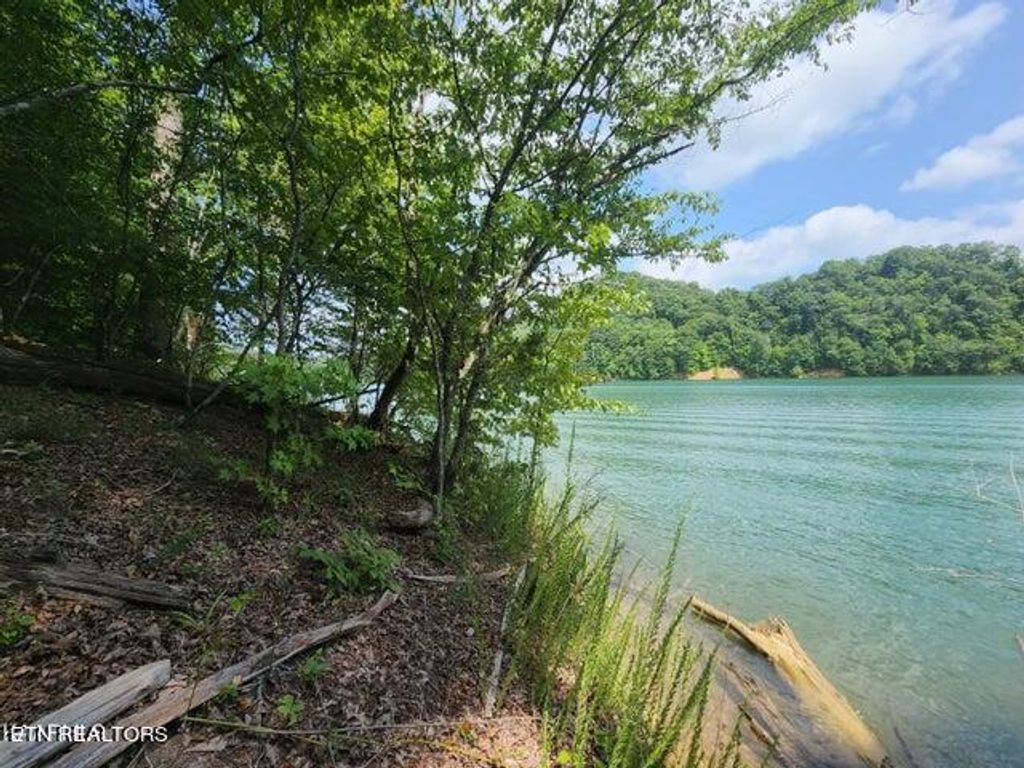 Photo of 304 Lot Bluff View Rd, New Tazewell, TN 37825 (MLS # 1254286)