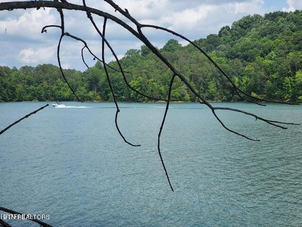 Photo of 304 Lot Bluff View Rd, New Tazewell, TN 37825 (MLS # 1254286)