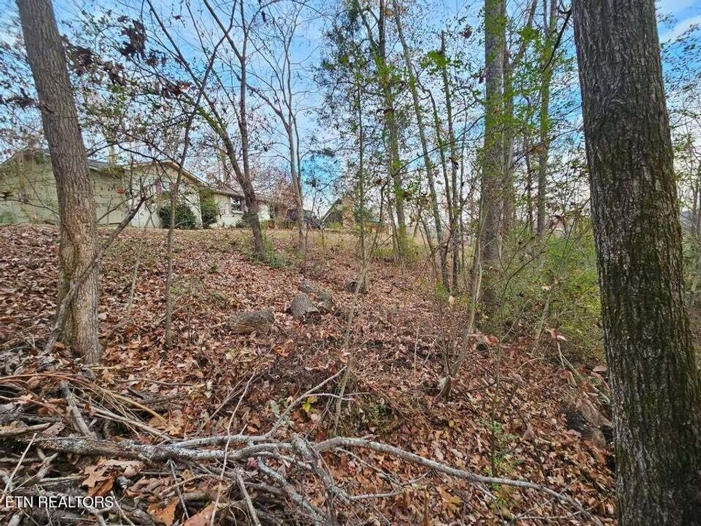 Photo of 25 Countryside Drive, Evensville, TN 37332 (MLS # 1296227)