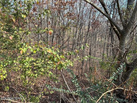 Tiny photo for 00 Poplar Drive Lot 31, Sweetwater, TN 37874 (MLS # 1332378)