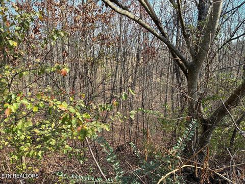 Photo of 00 Poplar Drive Lot 31, Sweetwater, TN 37874 (MLS # 1332378)