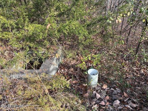 Tiny photo for 00 Poplar Drive Lot 31, Sweetwater, TN 37874 (MLS # 1332378)