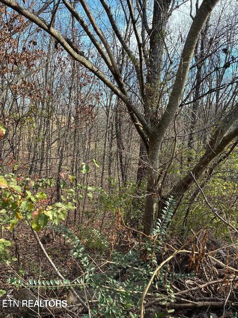 Tiny photo for 00 Poplar Drive Lot 31, Sweetwater, TN 37874 (MLS # 1332378)