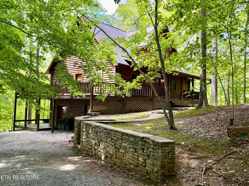 Photo of 125 Shoreside Rd, New Tazewell, TN 37825 (MLS # 1352627)