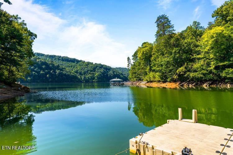 Photo of 125 Shoreside Rd, New Tazewell, TN 37825 (MLS # 1352627)
