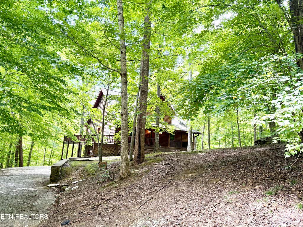 Photo of 125 Shoreside Rd, New Tazewell, TN 37825 (MLS # 1352627)