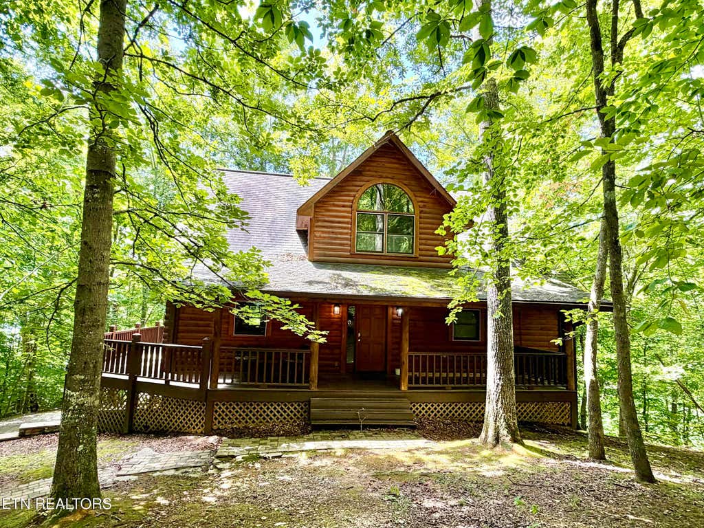 Photo of 125 Shoreside Rd, New Tazewell, TN 37825 (MLS # 1352627)
