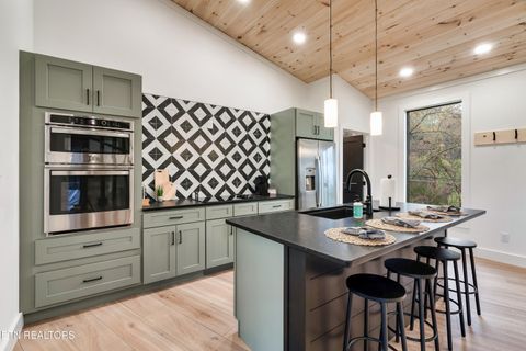 Tiny photo for 1079 Pleasure Rd, Sevierville, TN 37876 (MLS # 1328379)