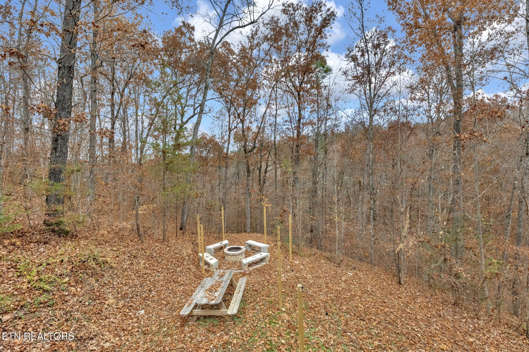 3201 Bear Country Way