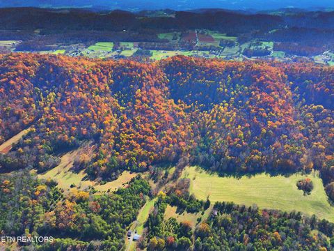 Tiny photo for 0 Rush Lane, Maynardville, TN 37807 (MLS # 1321637)