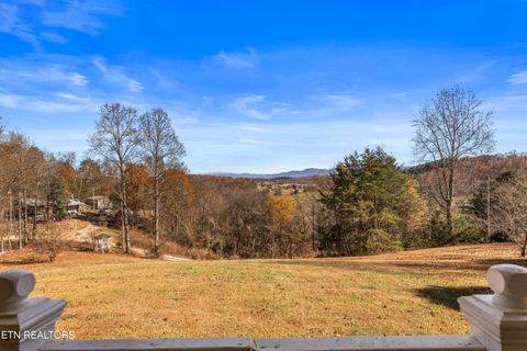 Tiny photo for 2895 Looney Rd, Parrottsville, TN 37843 (MLS # 1321843)
