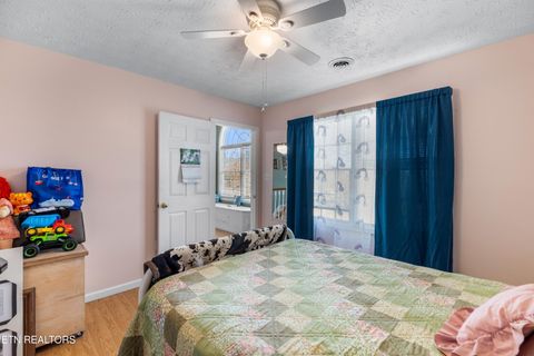 Tiny photo for 2895 Looney Rd, Parrottsville, TN 37843 (MLS # 1321843)