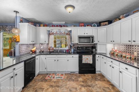 Tiny photo for 2895 Looney Rd, Parrottsville, TN 37843 (MLS # 1321843)