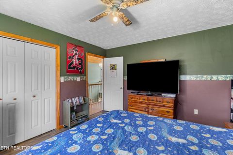 Tiny photo for 2895 Looney Rd, Parrottsville, TN 37843 (MLS # 1321843)