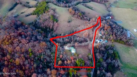 Tiny photo for 2895 Looney Rd, Parrottsville, TN 37843 (MLS # 1321843)